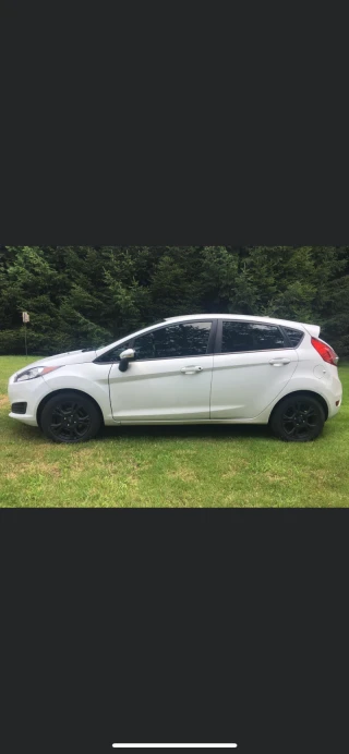 2014 Ford Fiesta