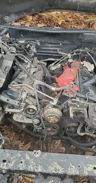 1996 Ford Mustang SVT Cobra