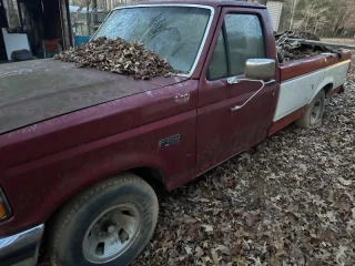 1995 Ford F-150