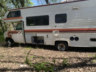 1980 Chevrolet 3100